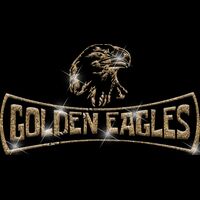 GLT94 GOLD GLITTER Thumbnail